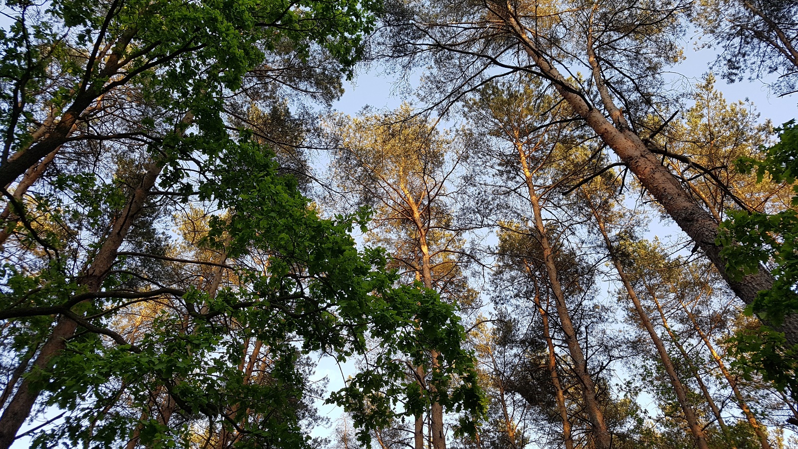 20180504 184749