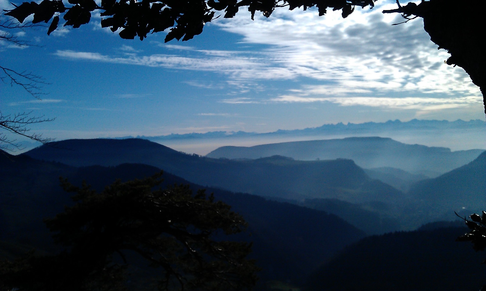 IMAG00141