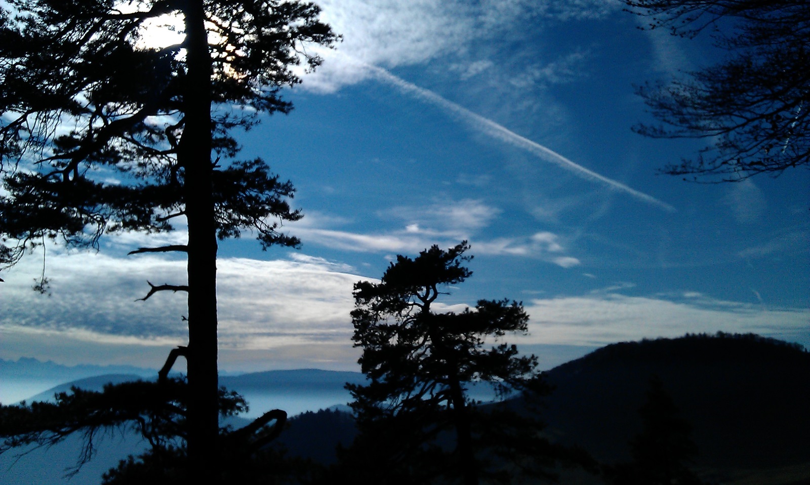 IMAG00142