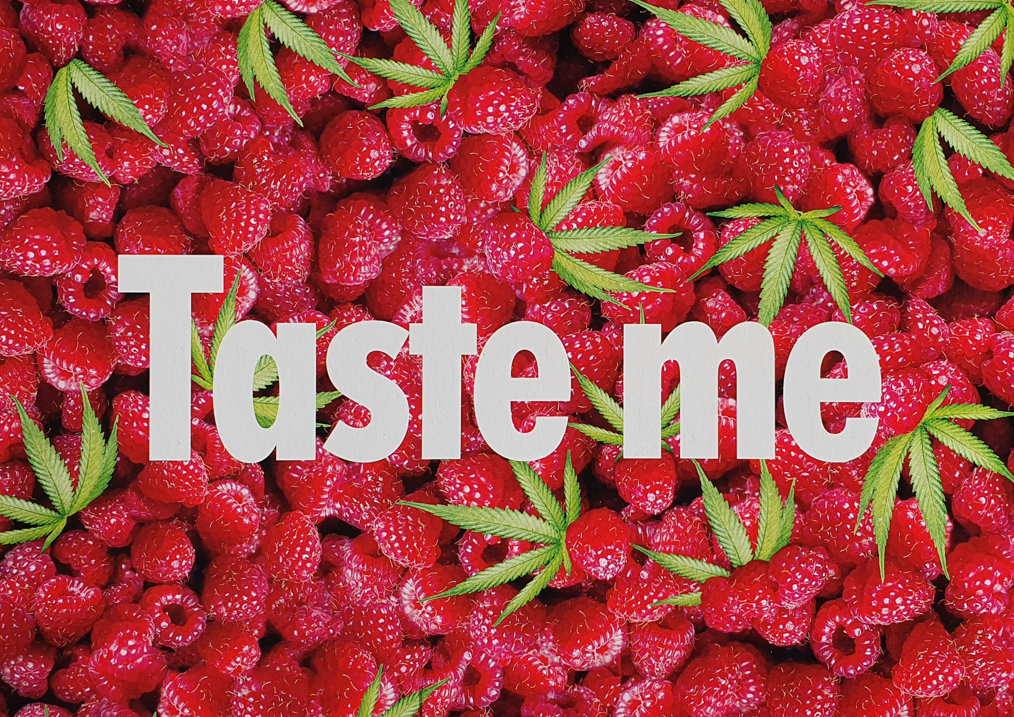 Taste Me