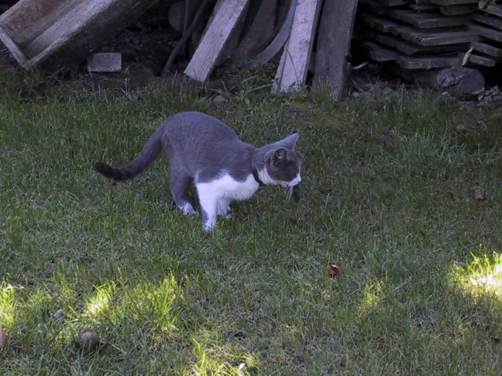 106 0657 IMG