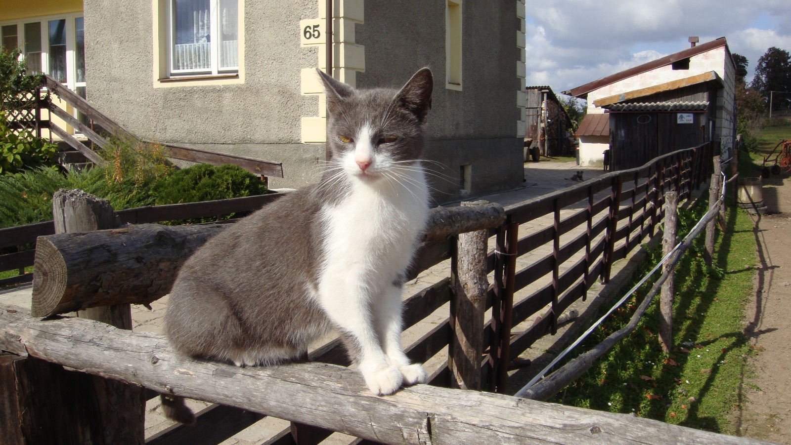 DSC01191