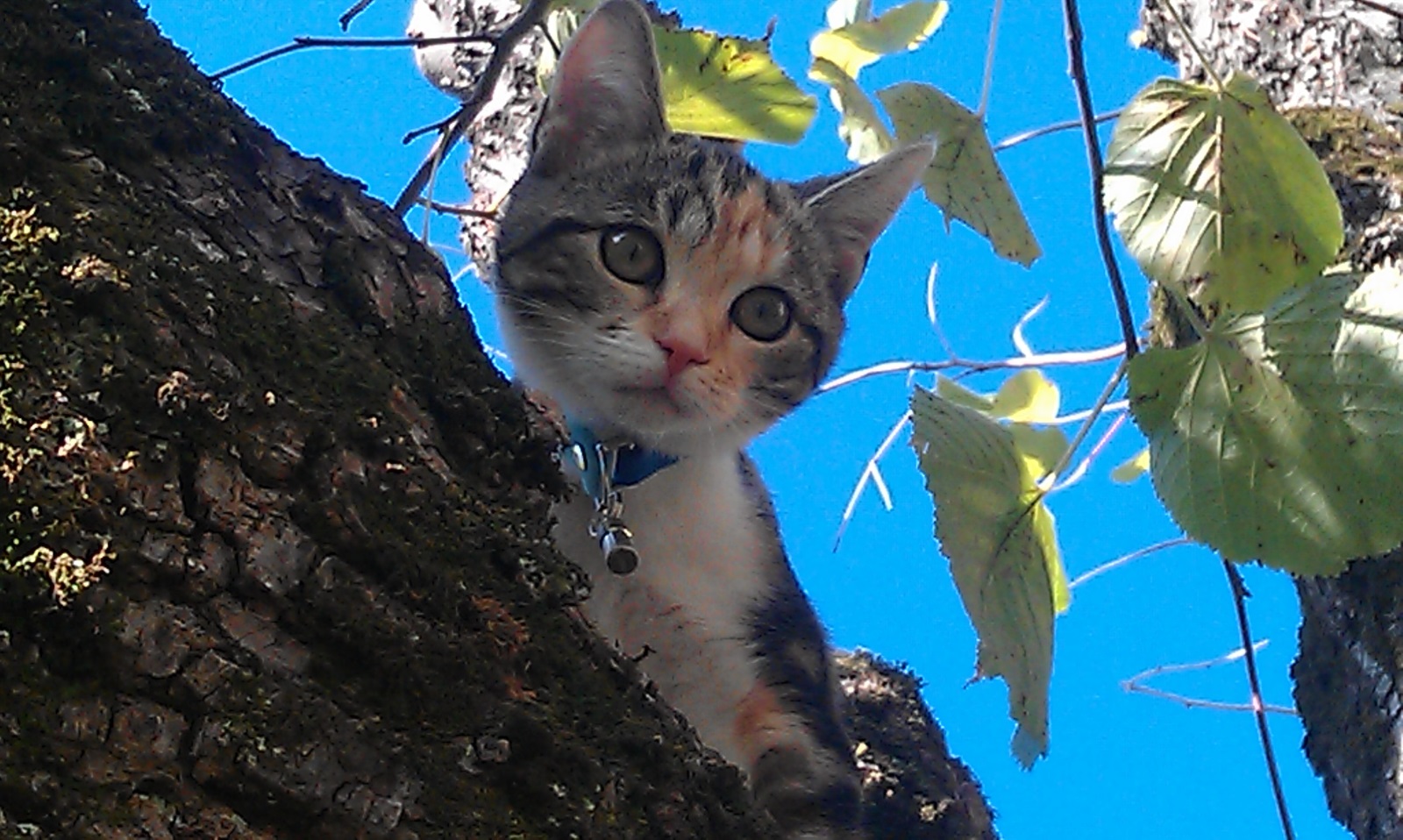 IMAG00115