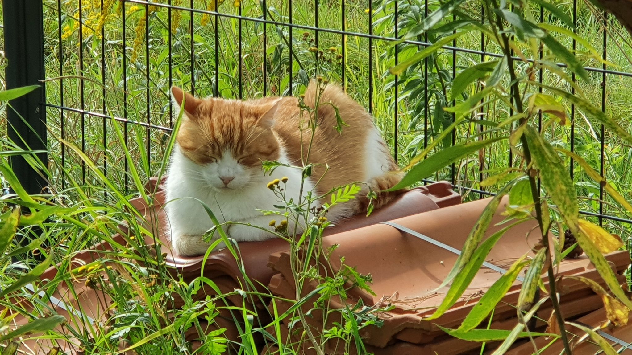 20210913 134959